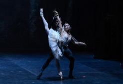 'Kuğu Gölü' balesi AKM'de prömiyer yapacak