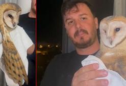 ‘Peçeli baykuş’, Bursa'da evin balkonuna girdi