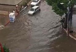 Aydın’da sağanak etkili oldu, sele kapılan 15 büyükbaş kurtarıldı; o anlar kamerada