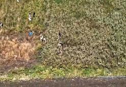 Hatay’da 89 kilo 200 gram esrar ve bin 876 kök kenevir ele geçirildi; 3 tutuklama