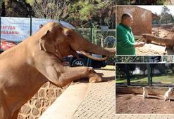 Türkiye'nin en büyük hayvanat bahçesi kışa hazır
