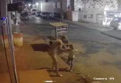 Eşini öldürüp kızını yaralayan sanığa 2 kez ağırlaştırılmış müebbet hapis