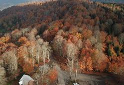 Kuzuyayla Tabiat Parkı'nda sonbahar güzelliği