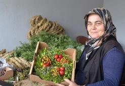 Köylü kadınlardan Avrupa'ya 1 milyon Noel çelengi