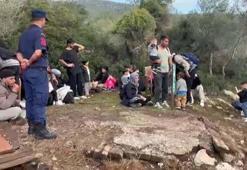 Milas’ta 74 kaçak göçmen yakalandı