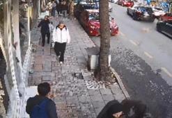 Fatih'te otomobilin ezdigi köpek Kuki öldü; o anlar kamerada