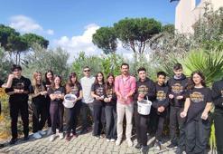 Okul bahçesinde öğrencilerden zeytin hasadı