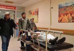 Ormandan toplayıp yediği mantardan zehirlendi