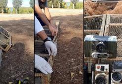 Kahramanmaraş'ta yasa dışı avlanan 80 saka kuşu doğaya salındı