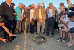 Caretta caretta 'Cumhuriyet'i 5 bin kişi izledi