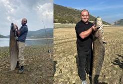 Su seviyesi düşen barajda yayın balığı avlıyorlar