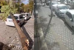 Bursa'da lodos etkili oldu; ağaçlar devrildi, çatılar uçtu