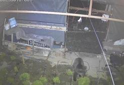 Girdiği serada marulları yiyen yavru bozayı kamerada