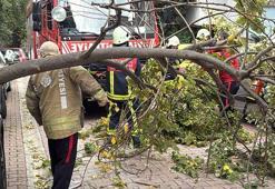 Beşiktaş ve Şişli’de ağaçla elektrik direği araçların üstüne devrildi