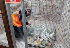 Kırşehir'de 66 yabani kuş ele geçirildi