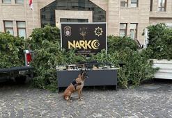 Kilis’te uyuşturucu operasyonuna 2 gözaltı