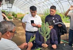 Muğla'da Özbek ormancılardan teknik inceleme