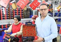 Ukrayna'nın 'domates' ve 'dikenli salatalık' kararı için çözüm çağrısı