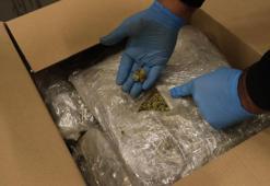 Kapıkule ve İpsala'da 525 kilo esrar ele geçirildi