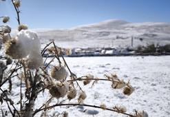 Doğu'da sıcaklıklar sıfırın altında; Palandöken'de kar sürprizi