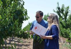 Eskişehir’de zirai dondan etkilenen 606 çiftçiye, 55 milyon lira yardım