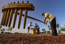 3'lü kıskaçtaki fındıkta kuraklığa karşı 'sulama sistemi' önerisi