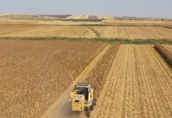 Biçerdöver hibesi ile hasat 3 dakikaya indi