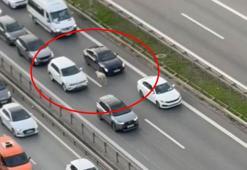 Ümraniye'de otoyol üzerinde ilerleyen koyun, sürücülere zor anlar yaşattı