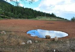 Geçen yıl tankerlerle taşınan su ile kurtarılan Sülüklü Göl, bu yıl tamamen kurudu