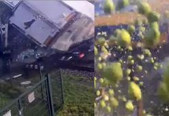 Hollanda’da tren, TIR’a çarptı: 5 yaralı