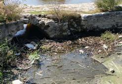 'Biriken atıklar temizlenmezse çöpler Ege Denizi'ne ve Bafa Gölü'ne kadar ulaşır'