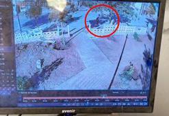 Mardin’de 2 çocuk parkın duvarını tekmeledi; o anlar kamerada