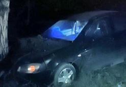 Bursa'da otomobil ağaca çarptı: 3 yaralı