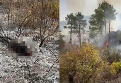 Temizlik için ateş yaktığı bahçede alevlerin arasında kalıp öldü