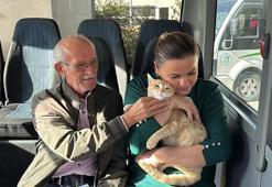 'Yolcu' isimli kedi, tedavi edildiği dolmuş durağının maskotu oldu