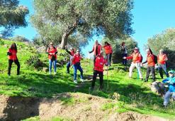 Tek başına başladı, binlerce gönüllüyle 'Yeşil Vatan'ı büyütüyor