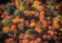 Bolu Mengen'de sonbahar güzelliği
