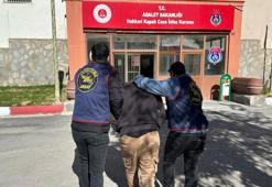 Hakkari'de firari hükümlü jandarma operasyonu ile yaklandı