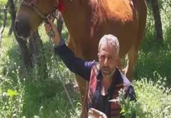 Cezaevinden izinli çıkan babasını öldüren sanığa 15 yıl 10 ay hapis, annesine beraat