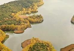 'Sakin şehir’ Şavşat’ta sonbaharda renk cümbüşü