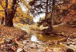 Amanos Dağları’nda sonbahar manzarası