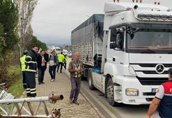 TIR'ın açılan dorsesi PTS direğini devirdi