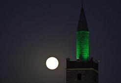 Diyarbakır’da ‘Kunduz ayı’ kartpostallık görüntüler oluşturdu
