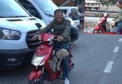 Köpeğini motosikletiyle gezdiriyor