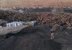 33 yıldır ailece mangal kömürü üretiyorlar