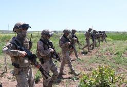 Şanlıurfa’da uyuşturucu ve kaçakçılık operasyonları; 9 gözaltı