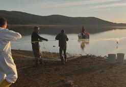 Hayalet ağa takılan 500 balık, canlı olarak kurtarıldı