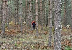 Kastamonu'da kayıp anne ve oğlunu arama çalışmaları 4'üncü günde