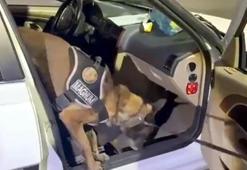 Koltuğun içine gizlenmiş 8,5 kilo metamfetamini 'Magnum' buldu