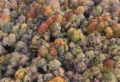 Bolu'da sonbahar manzaraları